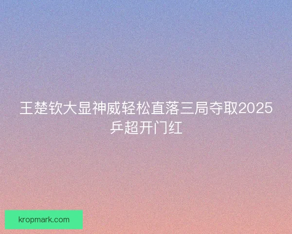 王楚钦大显神威轻松直落三局夺取2025乒超开门红
