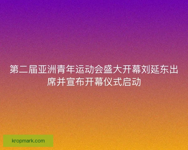 第二届亚洲青年运动会盛大开幕刘延东出席并宣布开幕仪式启动